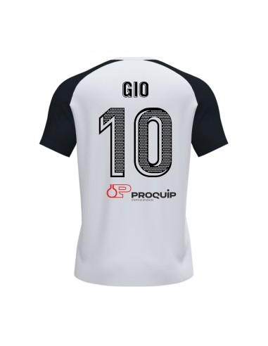 PACK DE JUEGO UE TOUS 2024