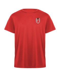 Camiseta entreno CF HOSTALETS DE PIEROLA